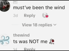 a screenshot of a facebook page that says " must ve been the wind "