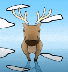 a cartoon of a deer with antlers standing in a body of water