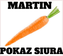 a picture of a carrot with the name martin written on it