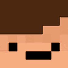 a close up of a minecraft character 's face with a black mustache .