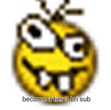 a smiley face with the words `` become a tier 3 bri sub '' written on it .