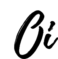 the letter o is written in a brush stroke on a white background