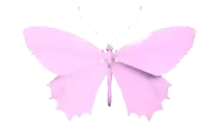 a pink butterfly is flying in the air