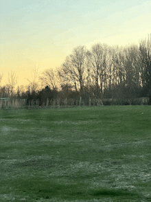 a field with trees in the background and a fence in the foreground