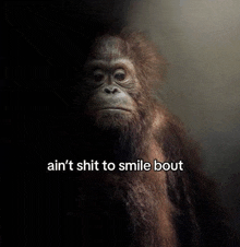 a picture of a monkey with the words ain 't shit to smile bout on the bottom