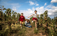 a family in a vineyard with a boy wearing a shirt that says ' i love you '