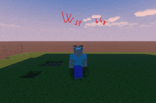 a minecraft character is standing in a grassy field with the word wasp written in red letters