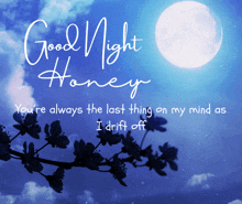 a good night honey message with a full moon in the sky