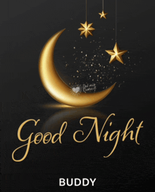 a black background with a crescent moon and stars and the words good night buddy