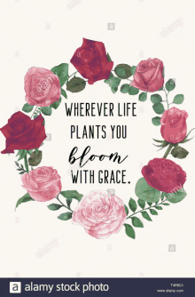 wherever life plants you bloom with grace is written on a card with roses