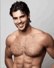 a shirtless man with a beard is smiling and looking at the camera .