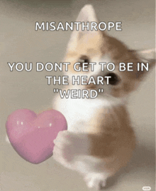 a kitten holding a pink heart with misanthrope written on it