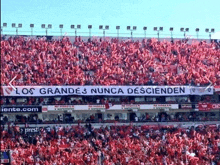 a stadium full of people holding a banner that says los grandes nunca descienden