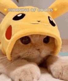 a cat wearing a pikachu hat with the words morning of goods written above it