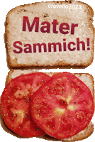 a slice of bread with the words mater sammich on it next to a slice of tomato