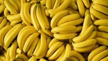 a bunch of bananas are stacked on top of each other in a pile