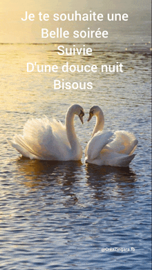 two swans in the water with the words je te souhaite une belle soirée suivie d' une douce nuit bisous