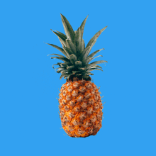 a pineapple against a blue background with a few leaves