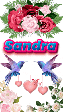 a picture of flowers and birds with the name sandra