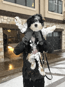 a person carrying a dog with snow on it