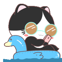 a black and white cat wearing sunglasses is floating on a duck float with the number 3 on it