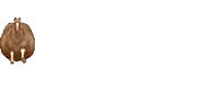 a brown horse is standing on a white surface