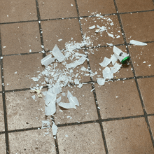 a broken glass bottle is laying on the tile floor