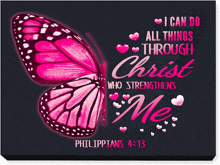 a pink butterfly with the words i can do all things through christ who strengthens me on a black background