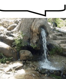 a waterfall coming out of a tree trunk