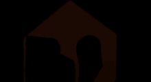 a silhouette of a person standing in a dark room in front of a house .