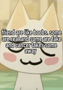 a cartoon cat says friend are like boobs some are real some are fake and cancer takes some away