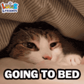 a cat laying under a blanket with the words going to bed