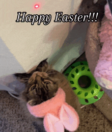 a cat wearing bunny ears and a scarf with the words happy easter written above it