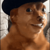 a brown dog wearing a black hat is smiling