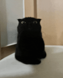 a black cat is sitting on a white surface