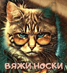 a painting of a cat wearing sunglasses and a jacket with the words " boji hocku " in pink