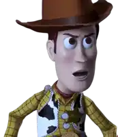 woody from toy story is wearing a cowboy hat and a cow print vest