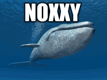 a picture of a whale with the word noxxy on it