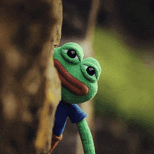 a stuffed frog is peeking out from behind a tree branch