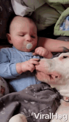 a baby with a pacifier in his mouth is playing with a dog 's nose while laying on a bed ..