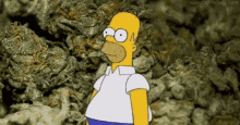 homer simpson from the simpsons is standing in front of a pile of marijuana .