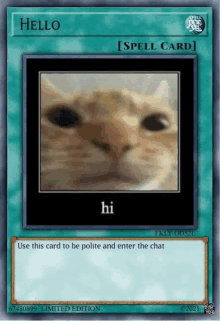 a card with a picture of a cat on it that says hi