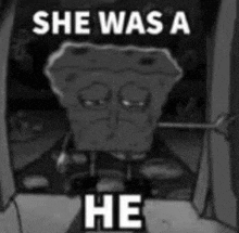 a black and white photo of a spongebob squarepants character with the words `` she was a he '' .