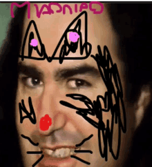 a man with a drawing of a cat on his face and the word " ivanito " on the top