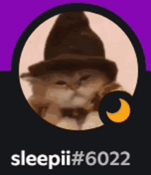 a picture of a cat wearing a witch hat with sleepii # 6022 written below it