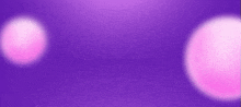 a purple background with two pink circles on it .