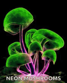 a bunch of neon mushrooms are growing on a black surface .