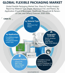 a diagram of the global flexible packaging market showing various companies