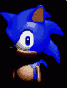 a pixel art of sonic the hedgehog 's face on a black background