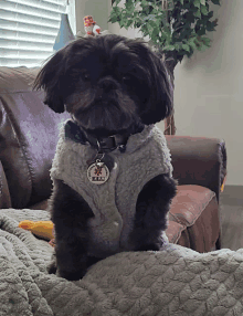 a small black dog wearing a white vest with a tag that says i love you